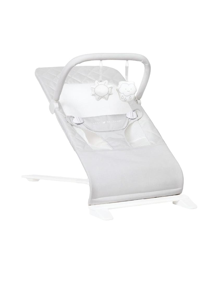 Baby Delight Alpine Deluxe Portable Bouncer | Infant | 0-6 Months | Driftwood Grey (30.31"D x 18"W x 23.23"H)