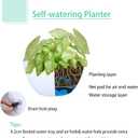 summer flower 2 Pack Self Watering Hanging Planters 9.9 Inch Hanging Baskets Plant Pots for Indoor Outdoor Halloween Hanging Plant Holder for Garden Porch Ceiling -White, Plant Not Included