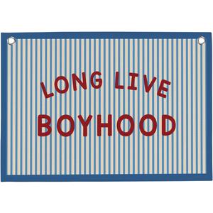 Long Live Boyhood Boys Room Playroom Wall Decor Vintage Sports Decor for Nursery Playroom Kids Bedroom Dorm Toddler Decorations 22x28 Inch