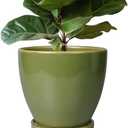 EPFamily Ceramic Pots for Plants - 10 Inch Planter for Indoor Ourdoor Plants Modern Large Flower Pot with Drainage Hole and Saucer Room Home Office Garden Patio Porch Decor Green