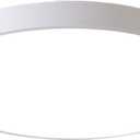 Ganeed LED Ceiling Lights,39W 19.6Inch Modern Ceiling Lamp,Flush Mount Lighting Fixture Round,6500K Cool White Ceiling Lighting for Dining Hallway Living Kitchen Bedroom Room