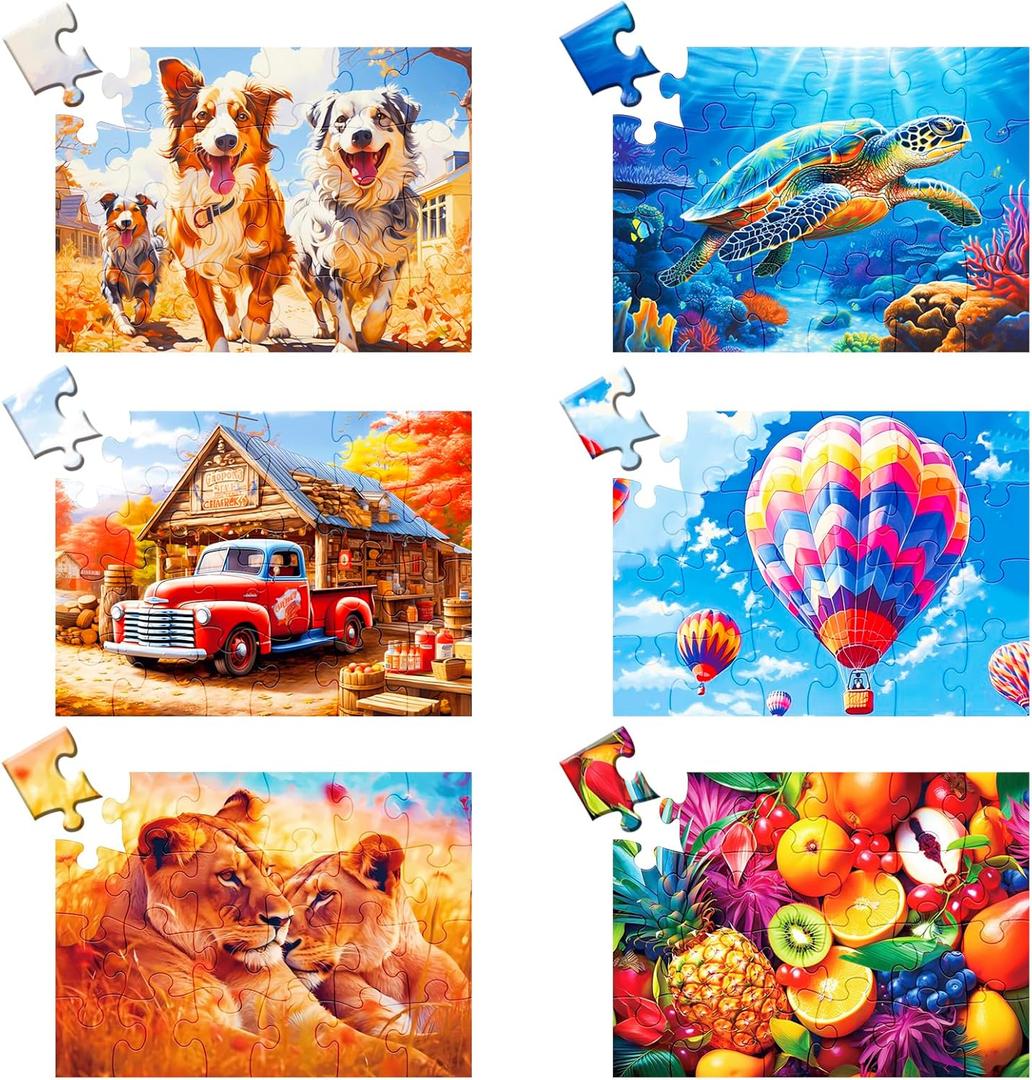 24 Large Piece Puzzle for Seniors 6 Pack Puzzles Dementia Alzheimer's Products and Activities for The Elderly Adults Puzzle Alzheimer's Easy Puzzles Gift Memory Games for Patients, 6 Storage Bag