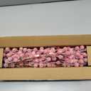 Suncalla 300 Pcs Snowy Artificial Holly Berry Stems Christmas Berry Picks Bulk Mini Fake Red Picks Flocked Ornaments for Christmas Tree Branches Fillers Wreath Home Xmas Winter Holiday Decorations