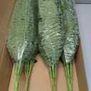 35" Fake Ferns Artificial Boston Ferns for Outdoors 4-Pack