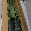HAIHONG 6FT Artificial Palm Tree,Faux Areca Palm Plant with Real Touch Leaves and Adjustable Branches,Fake Tropical Palm Tree for Home Office Indoor Outdoor Modern Decoration