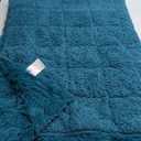 Cottonblue Weighted Blanket 15lbs, Sherpa Faux Fur Reversible Luxury Snugly Long Fur Warm Heavy Blanket 60x80 inches, Warm Plush Sherpa Weighted Blanket Queen Size for Couch Sofa Bed, Teal Green (60*80 15LBS)