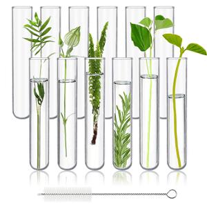 12pcs 70ml Glass Test Tubes, 25x180mm 3.3 Borosilicate Glass Test Tubes for Scientific Experiments Decorations Plant Propagation Christmas Halloween Party Holiday Gifts