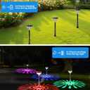 Solar Pathway Lights 6 Pack, Outdoor Solar Lights Waterproof Warm White & Multicolor Changing Solar Garden Lights for Walkway Yard Driveway Lawn