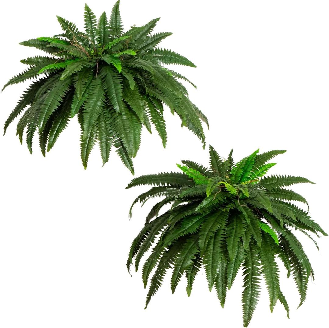 Nearly Natural 48in Artificial Boston Fern (Set of 2), Large Faux Greenery with 67 Lifelike Fronds for Indoor Wall, Shelf, and Home Office Decor