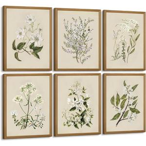 Baccone Vintage Botanical Wall Art Set of 6 Neutral Floral Canvas Wall Decor Wildflower Wall Art Watercolor Flower Prints Botanical Poster Minimalist Plant Pictures for Bedroom Room 12x16 Inch Framed