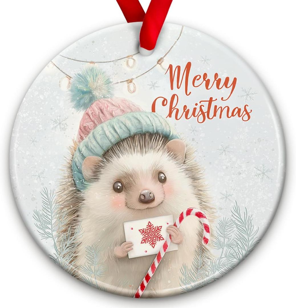 2 x Hedgehog Christmas Ornament - Animal Lover Xmas Tree Decoration, Cute Animal Themed Decor - Winter Christmas Decoration, Xmas Gift Ideas, Holiday Keepsake Gift for Hedgehog Lovers & Family