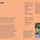 The Container Gardening Handbook: A Beginners Guide to Growing Flowers in Pots