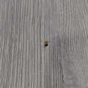 LITTLE TREE 2-Drawer File Cabinet, Lateral Filing Cabinet for A4/Letter/Legal Size, Office Storage Cabinet, Printer Stand with Storage Drawer for Home Office, White (31.5"L x 15.75"W x 31.9"H)