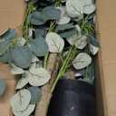 Artificial Eucalyptus Tree,6Ft Tall Fake Potted Tree Silk Faux Eucalyptus Tree with Plastic Nursery Pot, Artificial Plants for Home Office Indoor Decor (2in)