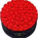Gifts for Women NATROSES 60 Preserved Roses in Luxury Black Velvet Box, Preserved Flowers for Delivery Gift for Her, Elegant Rose for Birthday, Mothers Day, Christmas (Red)