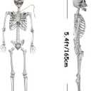 2Packs 5.4ft Halloween Human Skeletons Life Size Full Body Bones with Movable Joints for Halloween Props Spooky Party Decoration
