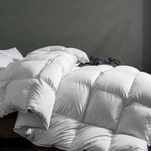 Feather Down Comforter Queen Size, All-Season Duvet Insert Feather and Down Cotton Fabric Fluffy Medium Warm Quilt Comforter with Corner Tabs (White)
