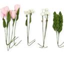 Blue Moon Studio 3D Wall Blooms Décor Peel and Stick Blush Crepe Paper Flowers (Set of 12), by Blue Moon Studio With 4 Erasers