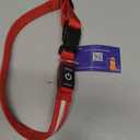 Super Bright LED Dog Collar - Fully Waterproof & Adjustable Glow Collar - USB-C Rechargeable for Night Walking, Safety - Flashing Lighted Collar for Dogs(Red,Large)