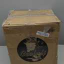 Cooluli 10L Mini Fridge for Bedroom - Car, Office Desk & College Dorm Room - 12V Portable Cooler & Warmer for Food, Drinks, Skincare, Beauty, Makeup & Cosmetics - AC/DC Small Refrigerator (White)