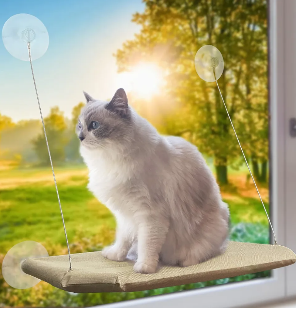 Cat Window Perch, Strong Suction Cups Easy Clean Safety Cat Hammock Window Seat for Large Fat Cat or Double Cats Cat Window Perch, Strong Suction Cups Easy Clean Safety Cat Hammock Window Seat for Large Fat Cat or Double Cats