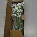 LYLYFAN Babys Breath Artificial Flowers,18 Pcs Gypsophila Faux Flowers for Wedding Party Home Garden Decoration White