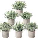Der Rose 6pcs Mini Fake Plants Artificial Potted Plants Desk Plants for Home Office Farmhouse Bathroom Bedroom Decor