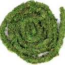 Galpagos (05266) MossVine, Real Moss Vine, 12FT, Green