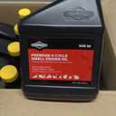 Briggs and Stratton Case of 100005 SAE 30 Engine Oil 18oz Bottle and Fuel Treatment
