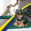 Muddy Mat | Super Absorbent Door Mat Indoor, Microfiber Quick Dry Chenille Entryway Rug, Non-Slip Front Door Mat, Indoor Mats for Entryway, Machine Washable Pet Rug, Dark Green Large 35"X24"