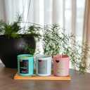 SoftOwl Premium Soy Candle Making Kit - Full Set - Soy Wax, Big 7oz Jars & Tins, 7 Pleasant Scents, Color Dyes & More - Perfect as Home Decorations - DIY Starter Scented Candles Making Kit