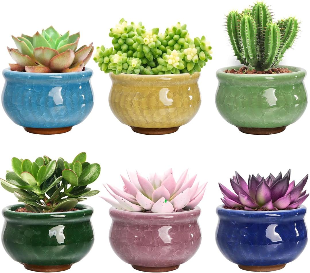 Okllen Set of 6 Small Succulent Pots, Ceramic Succulent Planters Stylish Crackle Glaze Design with Drainage Holes for Indoor/Outdoor Small Plants, Plants Not Included