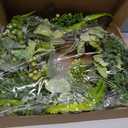 24 Inch Summer Wreath, Artificial Eucalyptus Wreath with Fern Leaves and Berries, Spring Summer Wreath for Front Door, Wall, Window, Farmhouse Home Decor Party Wedding Office Decoration