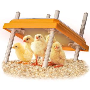 Brooder Heater for Chicks, 10" x 10" for 15 Chicks Heating Plate with Adjustable Height and Angle 15W Chicken Brooder Warm Like Mother Hen
