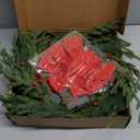 Artificial Christmas Wreath 24Inch Christmas Wreaths for Front Door Norfolk Pine Wreath with Eucalyptus Leaves Red Berries Pine Cones Red Bow for Wall Indoor Outdoor Winter Xmas Decoration