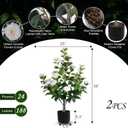 Hananona 2 Pcs Artificial Camellia Trees Faux Camellia Plant in Pot with Flowers Indoor Plants for Spring Home Decor Outdoor Porch Front Door Decor (White, M)
