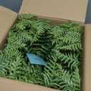Fake Ferns with Hanging Baskets, Lifelike UV Resistant Artificial Hanging Plants Outdoor Faux Plants for Front Porch Patio Garden Home Dcor(1 Set)