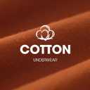 Seamless Cotton Underwear for Women No Show Bikini Panties Full Coverage Sexy Soft Comfort Hipsters 6 Pack (M)