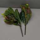 Artificial Croton Plant Leaf Branches Lifelike Tropical Houseplant Bush Stems for Home Office Decoration, 2 Pack
