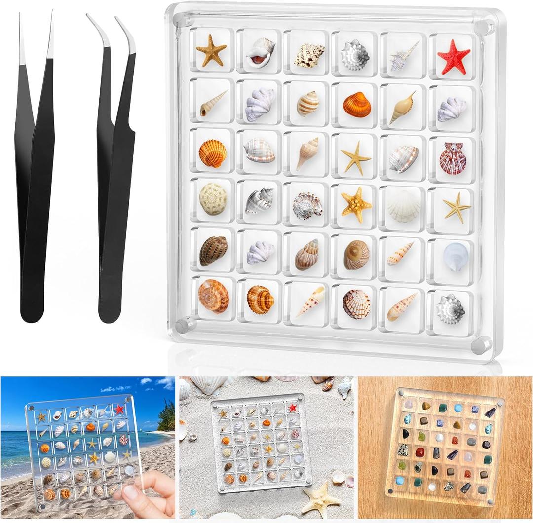XANGNIER Acrylic Magnetic Seashell Display Box,Clear Sea Shell Display Box,Beach Magnet Storage Organizer Case for Seashell Diamond Beads,36 Grids,Transparent,1 Pack