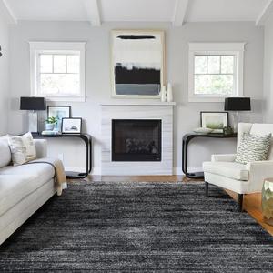 Black and White Rug for Living Room,Washable Abstract Modern Boho Dark 5x7 Area Rugs for Office