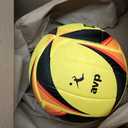 WILSON AVP Game Volleyballs