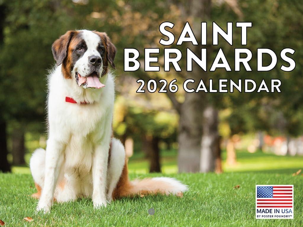 Saint Bernard Calendar 2026 Wall 12 Month Monthly Saint Bernards Gifts For Saint Bernard Lovers Women Men Mom Dad | American Made In The USA