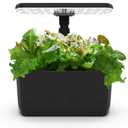 AeroGarden Harvest Lite in Black, Soil-Free Indoor Hydroponic Garden with LED Grow Light for Year-Round Gardening of up to 6 Herbs and Vegetables