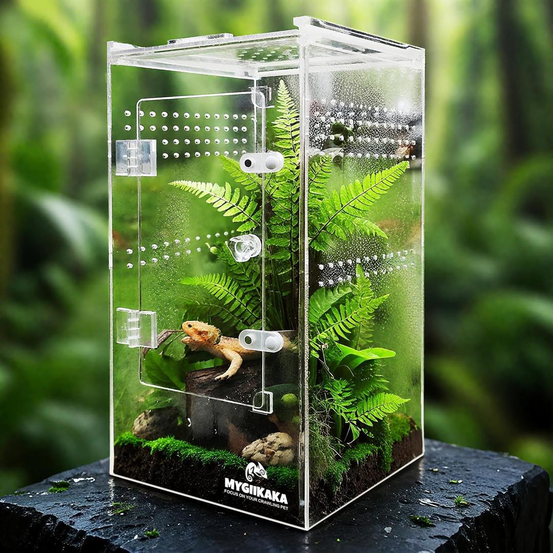 Jumping Spider Enclosure Accessories, Tarantula Spider Box, Bug Cage, Praying Mantis Habitat Enclosure, Snail Insect Terrarium, Caterpillar Habitat (6x6x12 inch)