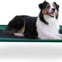 K&H Pet Products Outdoor Elevated Dog Cot, Breathable Cooling Elevated Cot Hammock Pet Bed for Large Dogs, Washable Mesh Cover, Raised Metal Frame, Collapsible, Portable - Large 42 X 30in Green