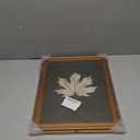 VIYYIEA Vintage Gold Framed Wall Art for Living Room, Maple Leaf Canvas Prints Home Decor, Oil Painting Picture, Bedroom Wall Decor Gifts for Friends or Family -Maple Leaf Specimen-(16L x 12W)