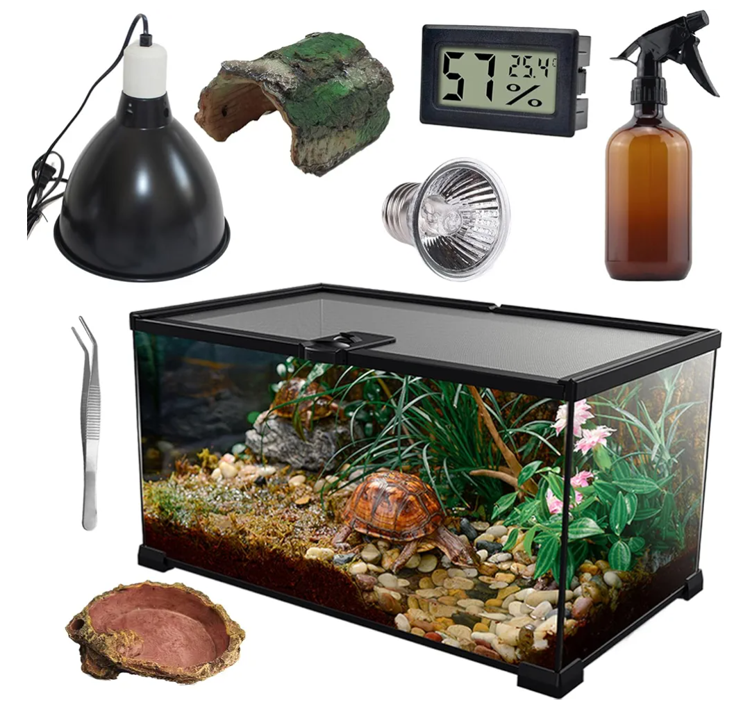 Reptile Glass Terrarium Kit(8 Pieces) 12 * 8 * 6 in, Amphibian Tank Starter Kit, Suitable for Small Reptiles Such as Geckos, Snakes, Lizards, Chameleons,Serpents(12 * 8 * 6 inchs)