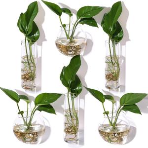 Baderke 6 Pcs Glass Wall Hanging Vase Indoor Propagation Planter with Hanging Suction Cup and Plastic Invisible Traceless Hanger for Hydroponic Flower Succulent Spring Summer Wedding Wall Mount Decor