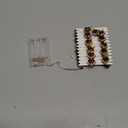 TURNMEON 10 Ft 30 LED Thanksgiving Turkey Lights Decorations Battery Operated Copper Wire Fairy String Lights Thanksgiving Lights Decoration Home Indoor Outdoor Party Autumn Harvest Decor